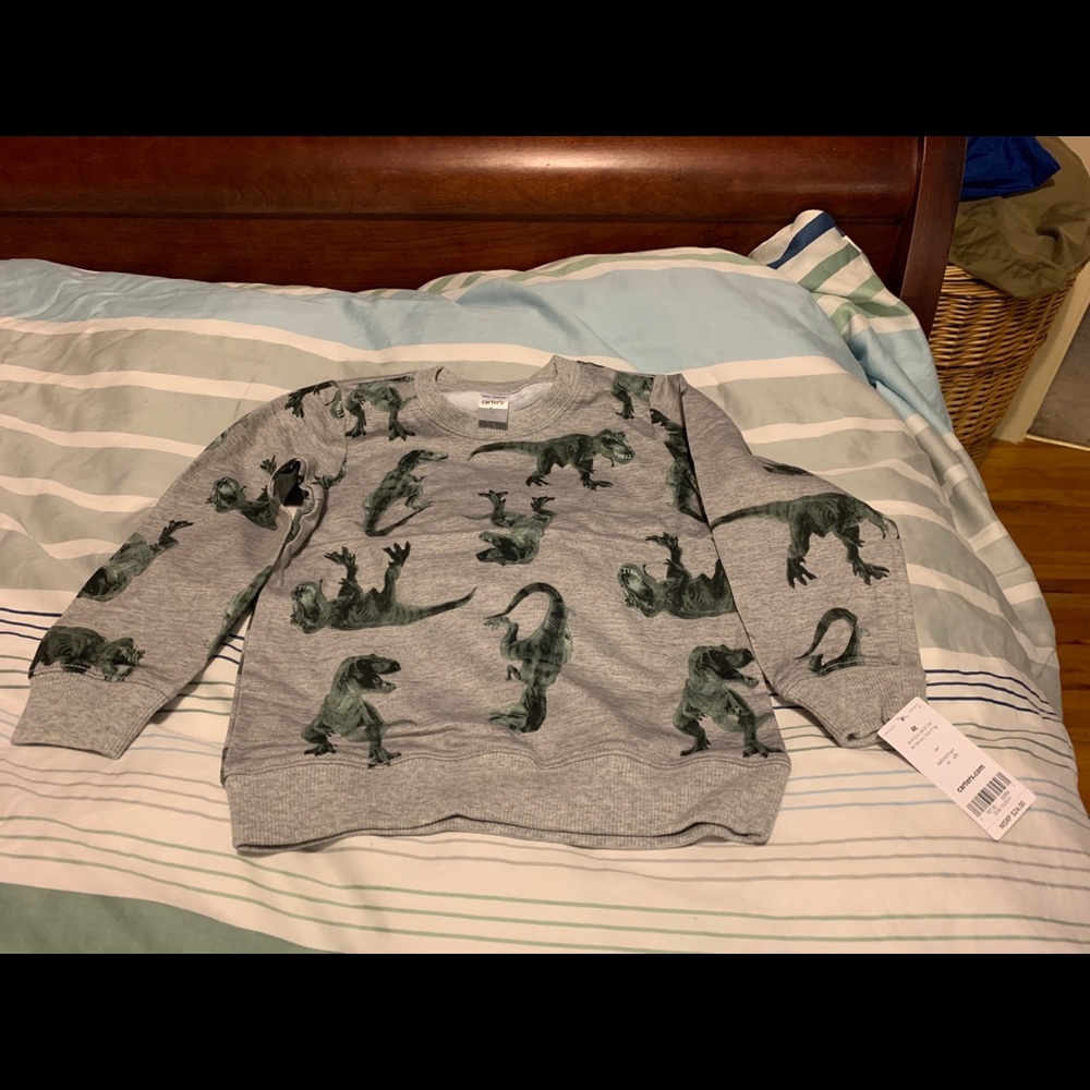 Boys dinosaur sweatshirt.